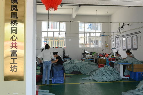 村里建起“沒(méi)有圍墻的工廠”——浙江臨海“共富工坊”以技術(shù)服務(wù)助力農(nóng)民家門口就業(yè)增收